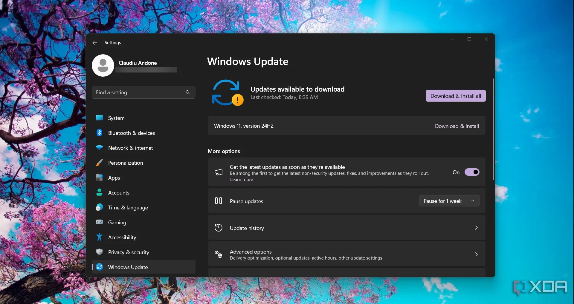 Ảnh chụp màn hình cửa sổ Windows Update trong cài đặt Windows 11