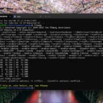 Chạy lệnh ffmpeg trên WSL trong Windows 11 để xử lý video