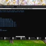 Giao diện dòng lệnh Git đang chạy trên Windows Subsystem for Linux (WSL) trong Windows 11, minh họa khả năng quản lý mã nguồn hiệu quả với Linux.