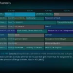 Giao diện TVHeadend trên Kodi, cho phép xem truyền hình trực tiếp và ghi lại chương trình