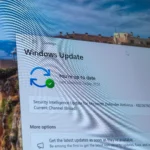 Giao diện Windows Update trên Windows 11 hiển thị các tùy chọn cập nhật và tối ưu hóa phân phối, minh họa việc quản lý driver