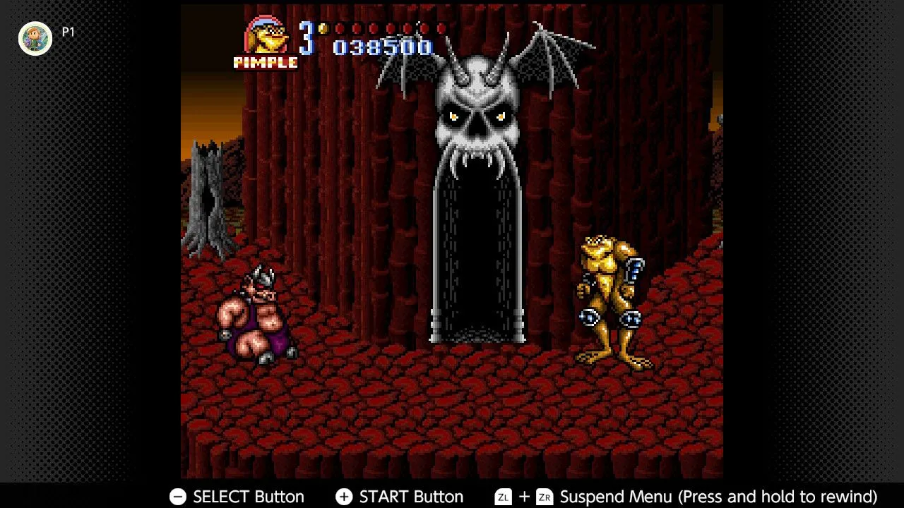 Hai nhân vật Battletoads đang chiến đấu trong màn chơi rực rỡ của Battletoads in Battlemaniacs trên SNES