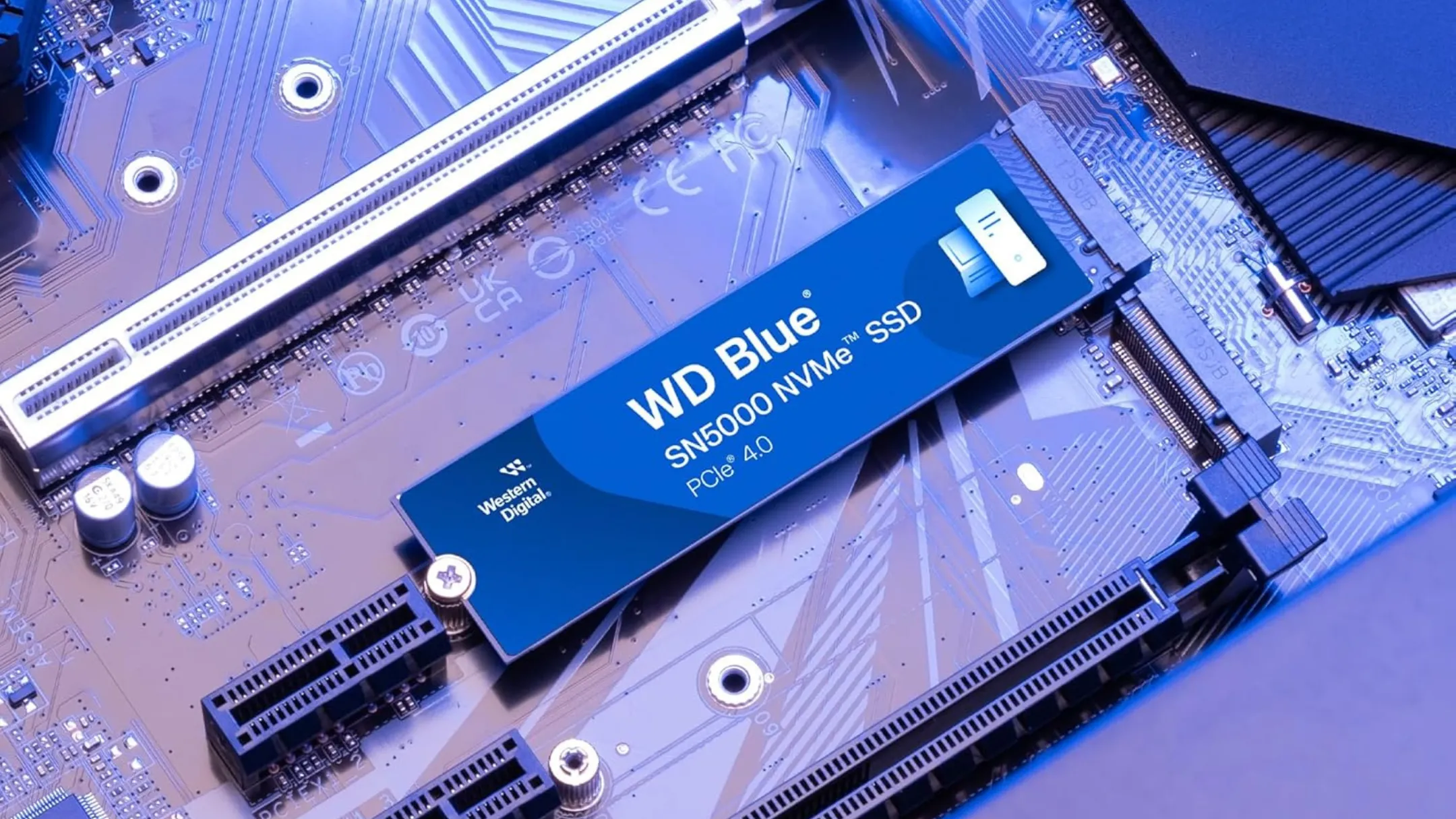 Hình ảnh thực tế ổ cứng Western Digital WD Blue SN5000 chuẩn M.2 NVMe