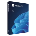 Hộp bản quyền Windows 11 Pro vật lý