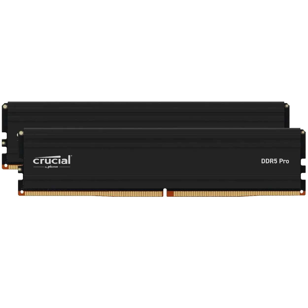 Kit RAM Crucial Pro DDR5 64GB (2x32GB) minh họa cho tầm quan trọng của dung lượng RAM