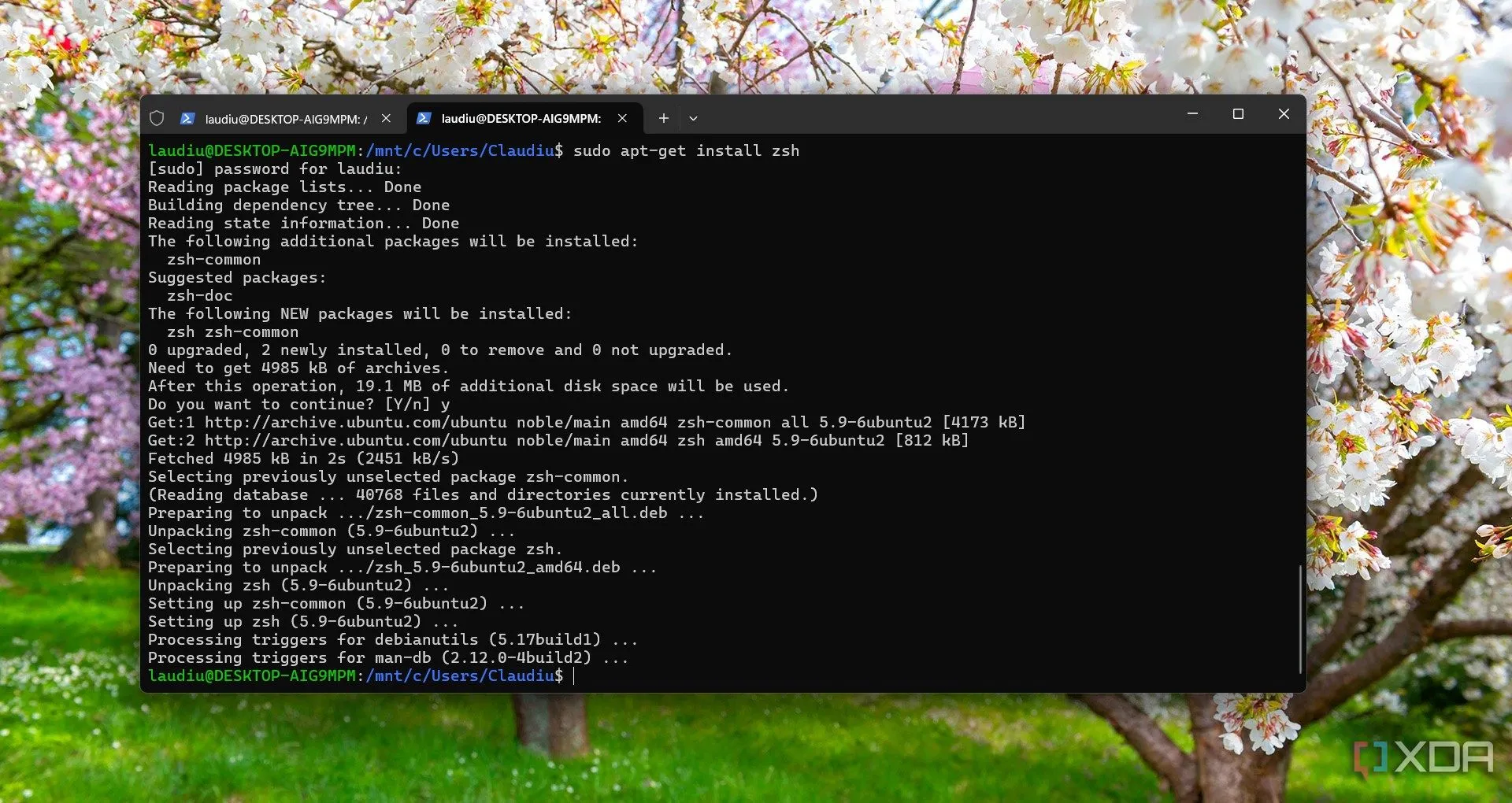 Màn hình Command Line Interface hiển thị quá trình cài đặt ZSH trên Windows Subsystem for Linux (WSL), minh họa khả năng chạy Linux trên Windows.