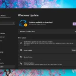 Màn hình Windows Update trong Cài đặt Windows 11, nơi người dùng kiểm tra các bản cập nhật hệ điều hành mới nhất và tình trạng tương thích 24H2