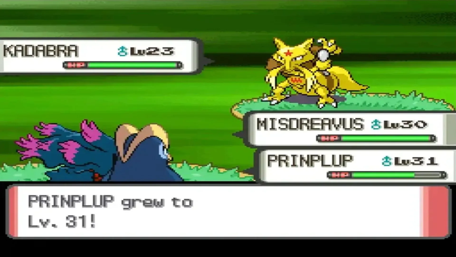 Một cảnh trận đấu đôi trong Pokémon Pearl