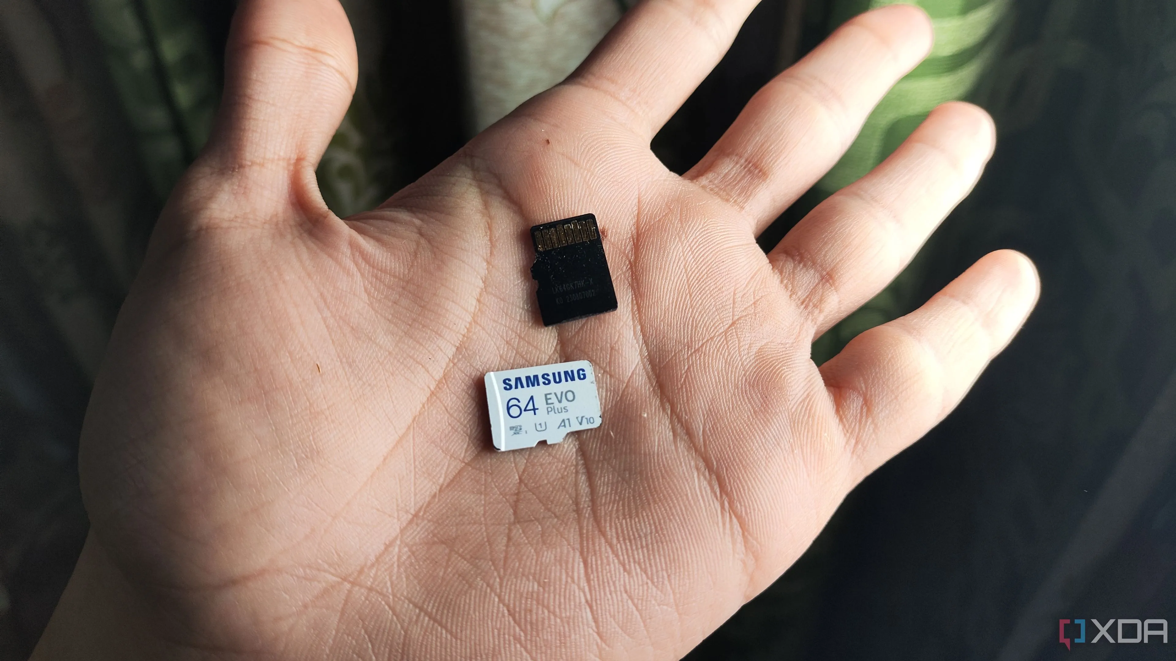 Một người đang cầm hai thẻ nhớ Micro SD