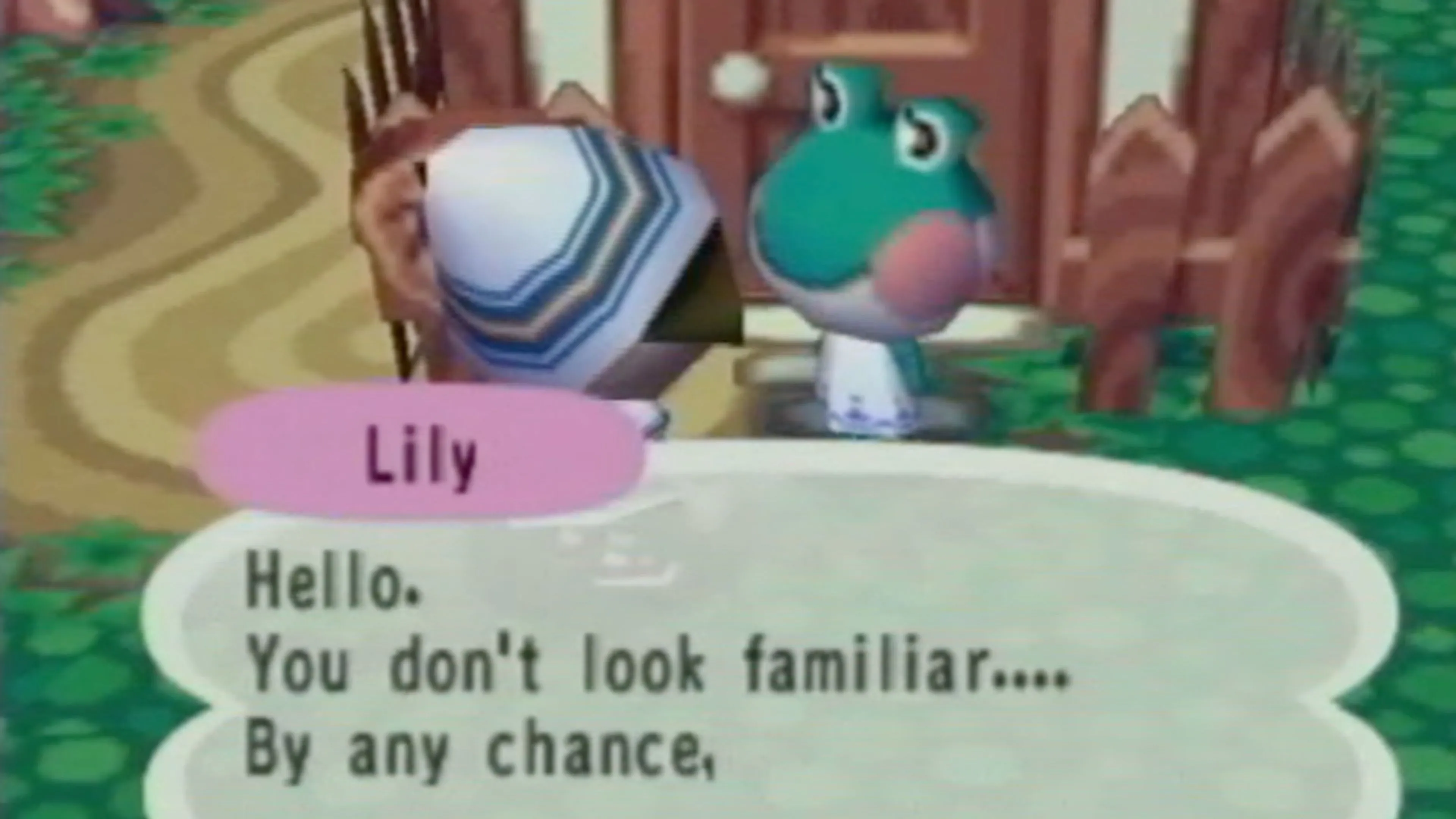 Nhân vật chính đang nói chuyện với Lily ếch trong Animal Crossing