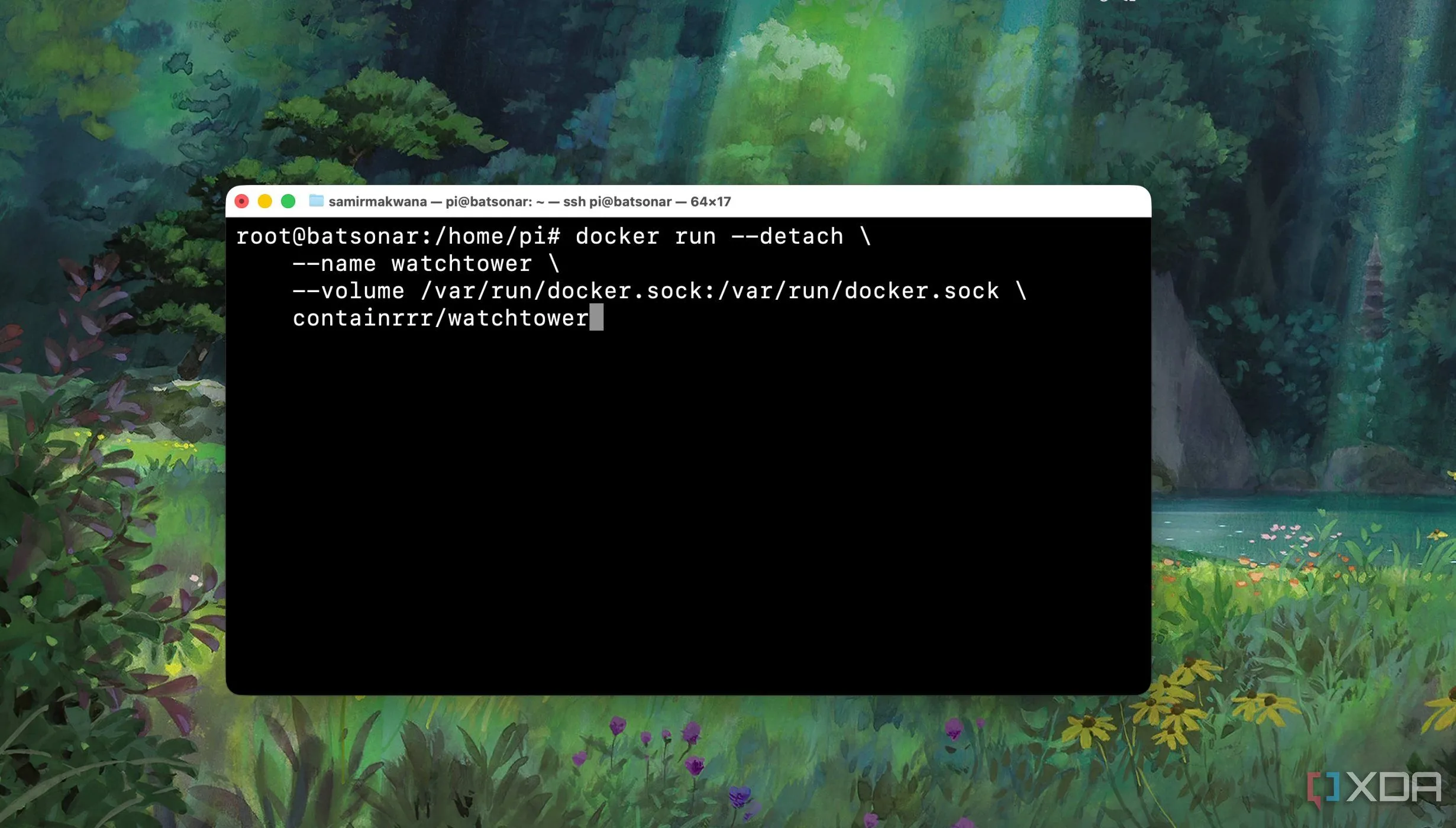 Ví dụ lệnh docker run trong Terminal để khởi động container